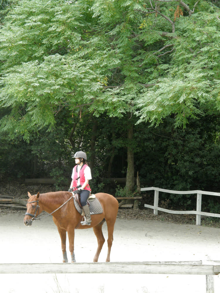 グレース乗馬クラブ　福山分校